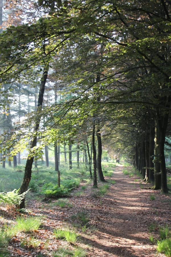 Inn The Woods - Private Stay Overberg Dış mekan fotoğraf