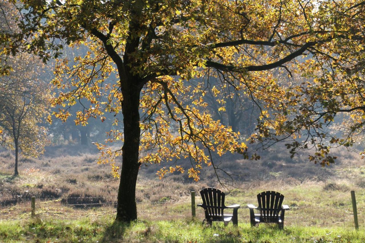 Inn The Woods - Private Stay Overberg Dış mekan fotoğraf